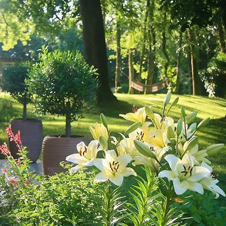 Les Hauts De Saulies ゲストハウス