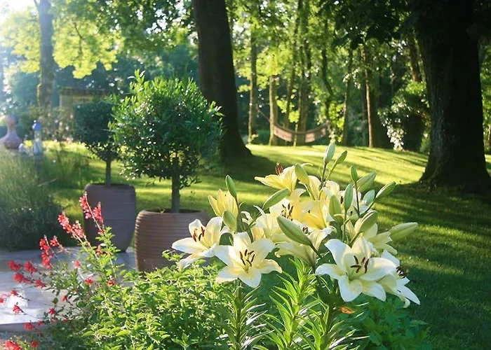 Les Hauts De Saulies Maison d'hôtes